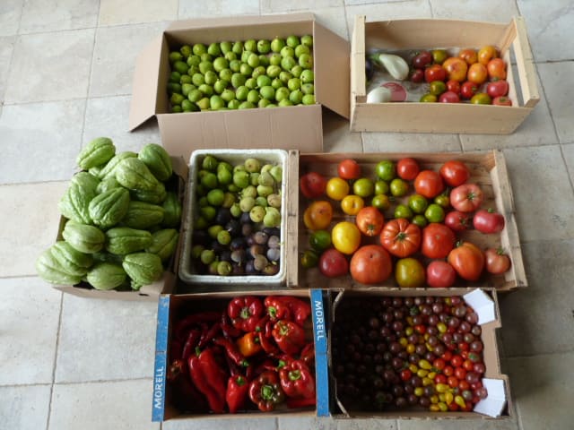 Lire la suite à propos de l’article Le projet Aide-O-Jardin